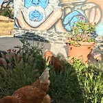 Elemental Bed & Breakfast