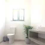 Elemental Bed & Breakfast