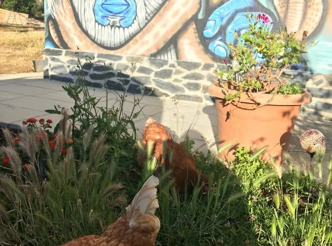 Elemental Bed & Breakfast