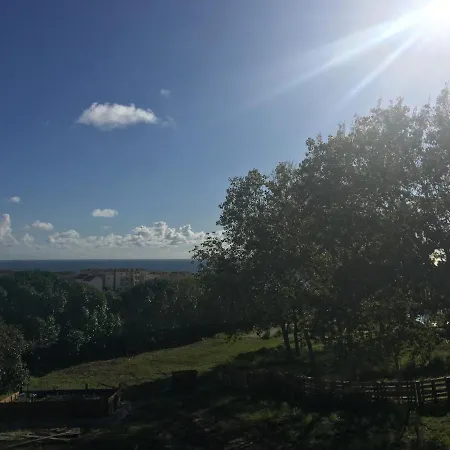 Bed and Breakfast Elemental