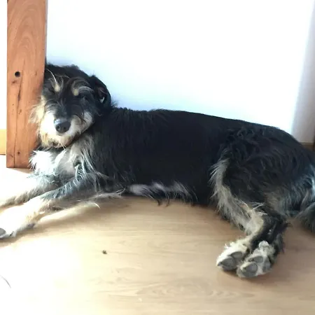 Elemental * Ericeira