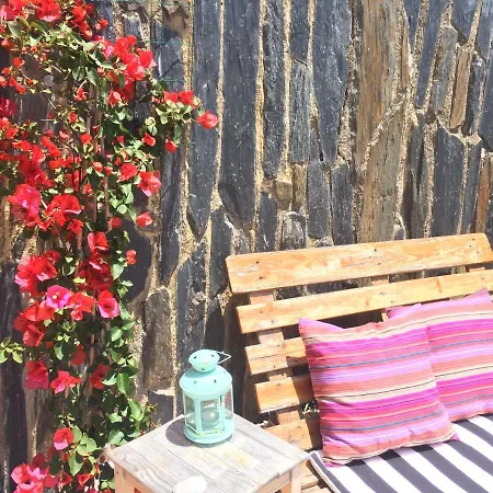 Elemental Bed and Breakfast *