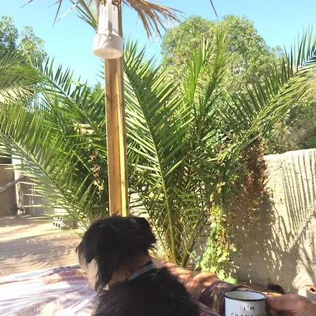 Bed and Breakfast Elemental *