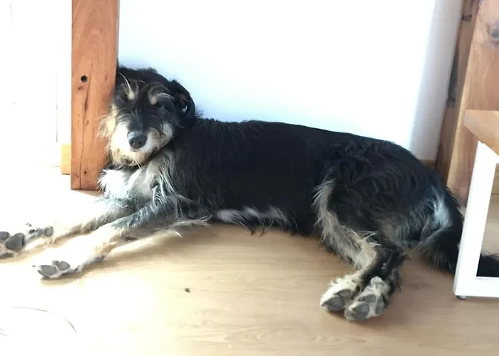 Elemental * إيريسييرا