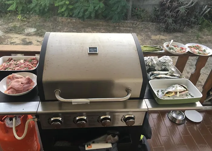 Elemental * إيريسييرا