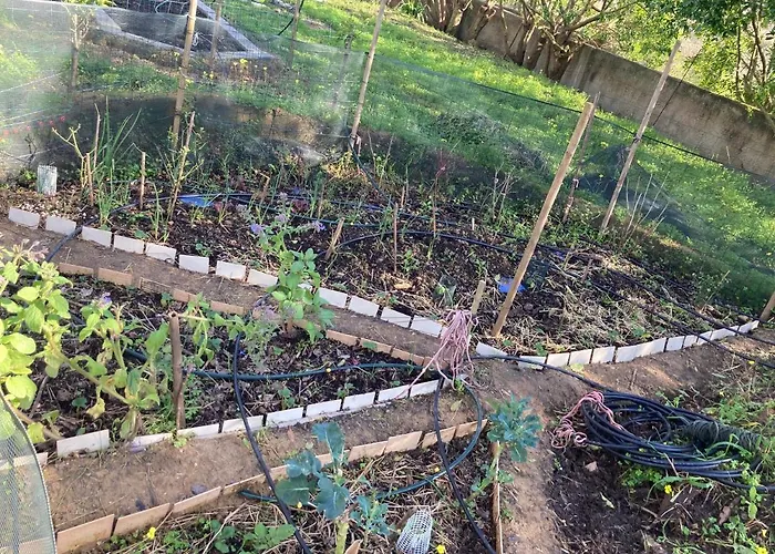 Elemental فندق مبيت وإفطار *