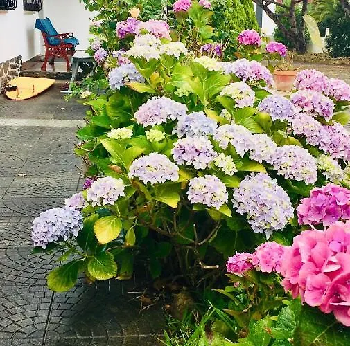 Elemental فندق مبيت وإفطار *